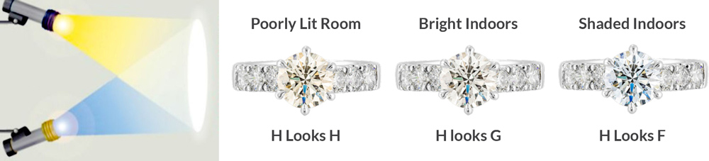 Diamond halo studs in 18 karat white gold