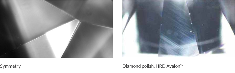 Diamond halo studs in 18 karat white gold