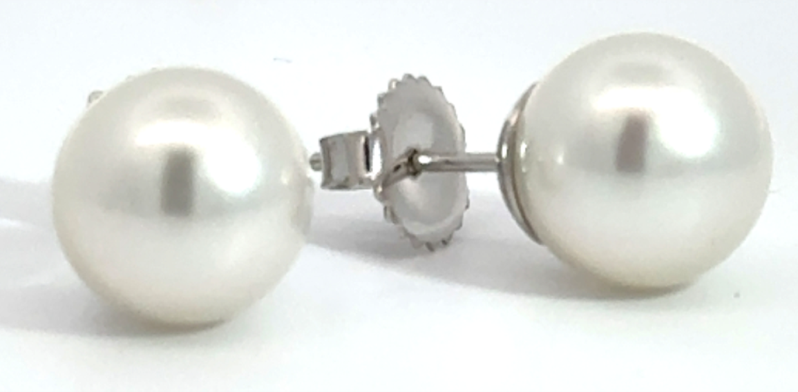 Pearl Stud Earrings - Holloway Diamonds
