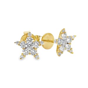 Diamond Star stud Earrings
