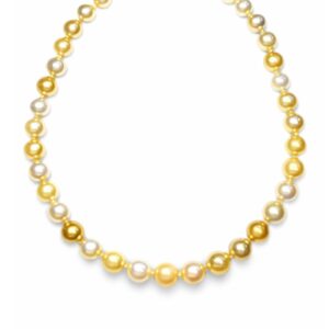Golden South Sea Pearl Strand Necklace